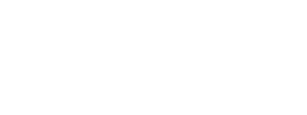 new logo - bs - sb